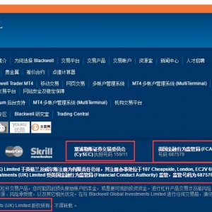 bgifx.cn网站误导性宣传，诱骗中国客户